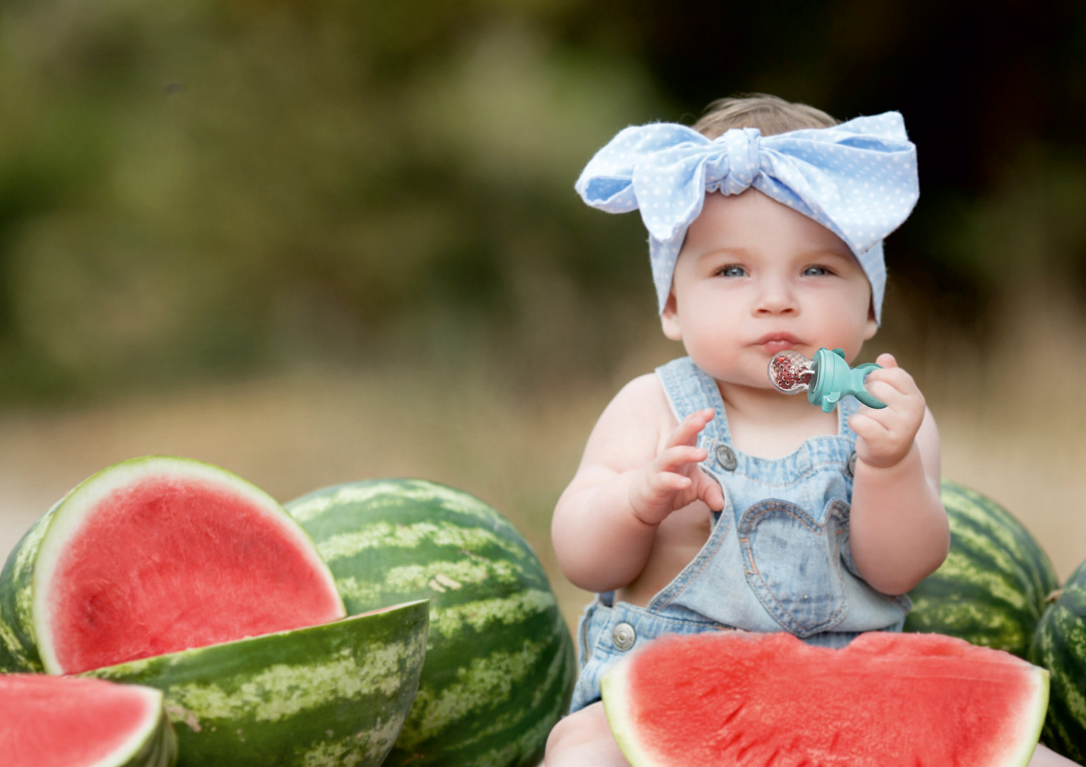 малюка на кавун з прорізувачем, оснащеним сітчастим контейнером
