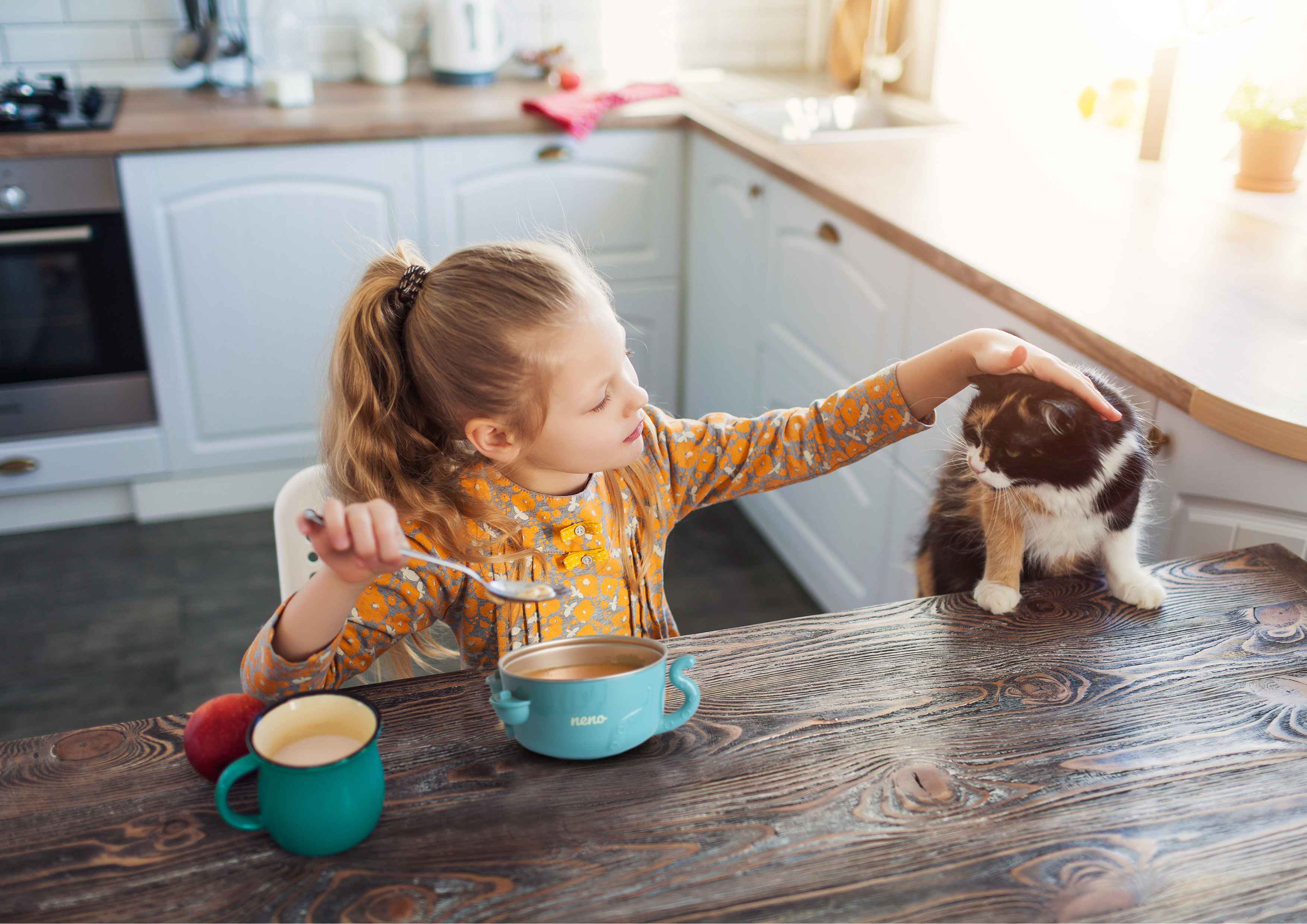 дівчинка гладить кота
